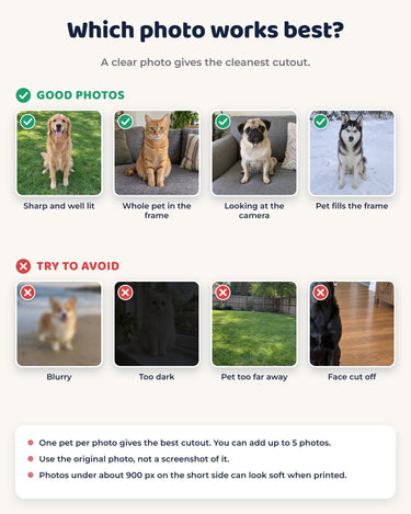 Photo guide for the pet bootleg t-shirt: good photos are sharp, well lit and show the whole pet; avoid blurry, dark, distant or cropped photos