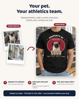 Photo-to-shirt guide for a custom pet varsity tee: upload one to three pet photos, add a name, athletics line and year, then choose team colors.