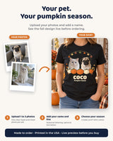 Photo customization guide for a pumpkin pet shirt: upload one to three pet photos, add a name and optional line, then choose a season and shirt color.
