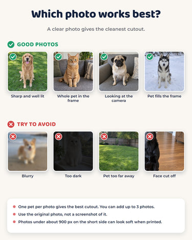 Photo guide for the pet Y2K heart t-shirt: good photos are sharp, well lit and show the whole pet; avoid blurry, dark, distant or cropped photos